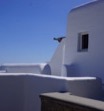 Ammonite Villa Psarou
